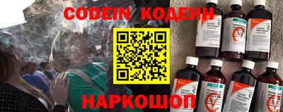 шишки Кинель