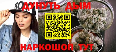 гидропоника Кингисепп