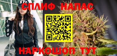 гидропоника Кингисепп