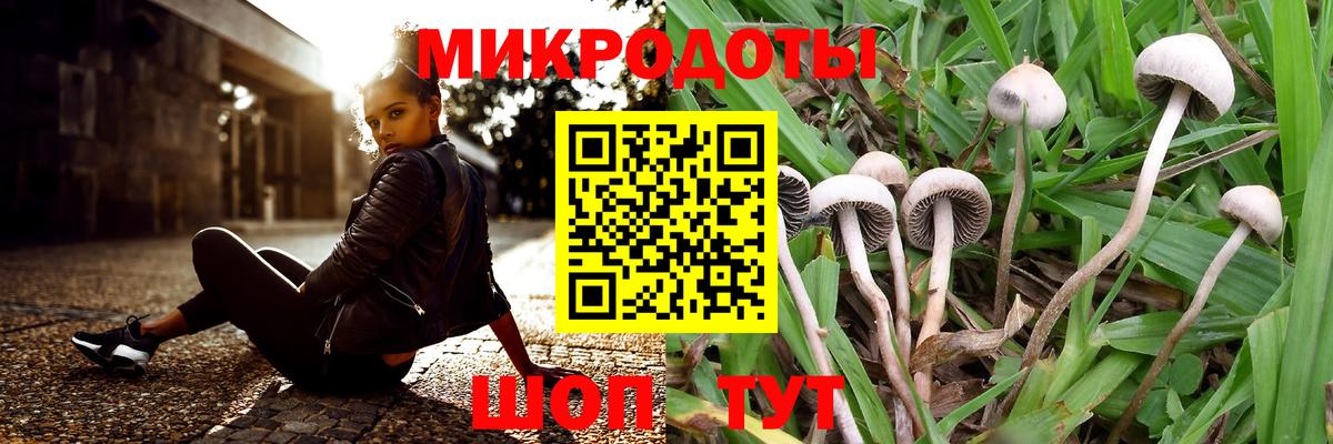 Галлюциногенные грибы GOLDEN TEACHER  Галлюциногенные грибы Cubensis  Куйбышев  Вход с VPN 